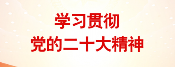 学习贯彻党的二十大精神
